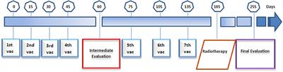 Safety and Therapeutic Profile of a GnRH-Based Vaccine Candidate Directed to Prostate Cancer. A 10-Year Follow-Up of Patients Vaccinated With Heberprovac